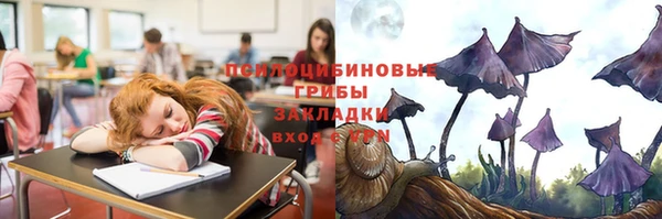 apvp Алексеевка
