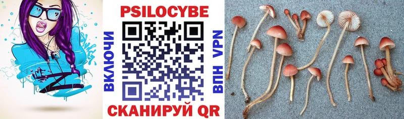 закладки  Мантурово  Галлюциногенные грибы прущие грибы 